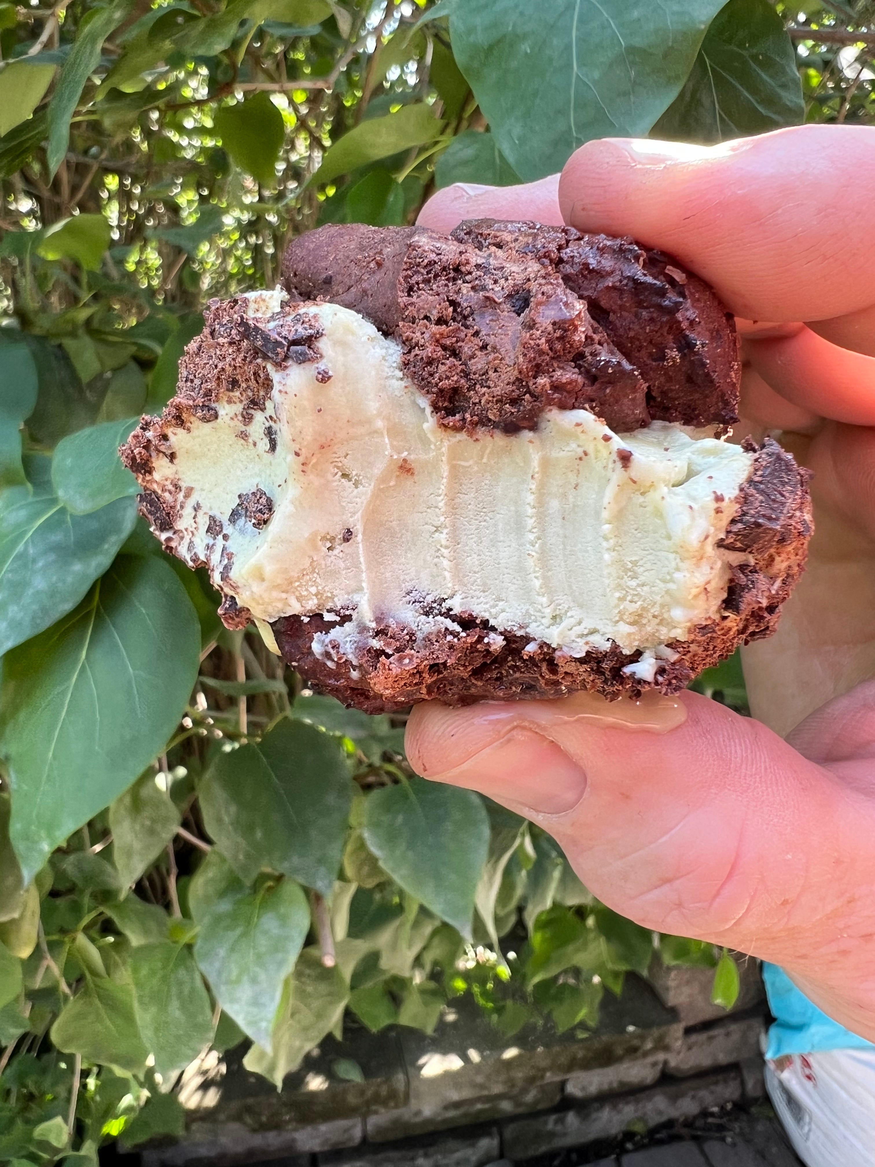 Boozy Ice Cream Sandwiches