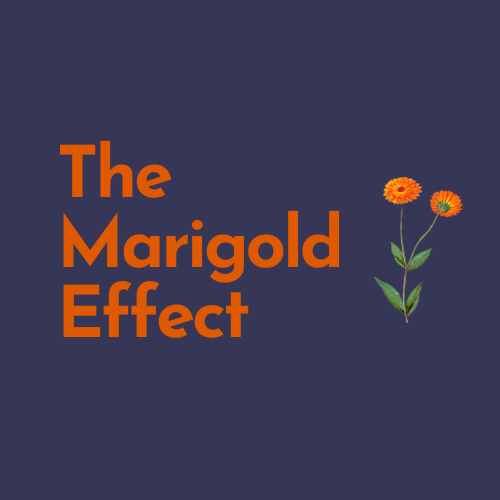 The Marigold Effect