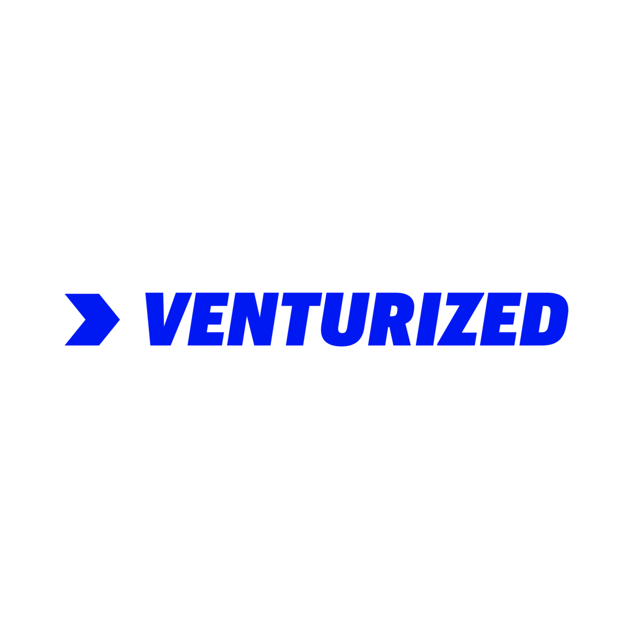 Venturized logo