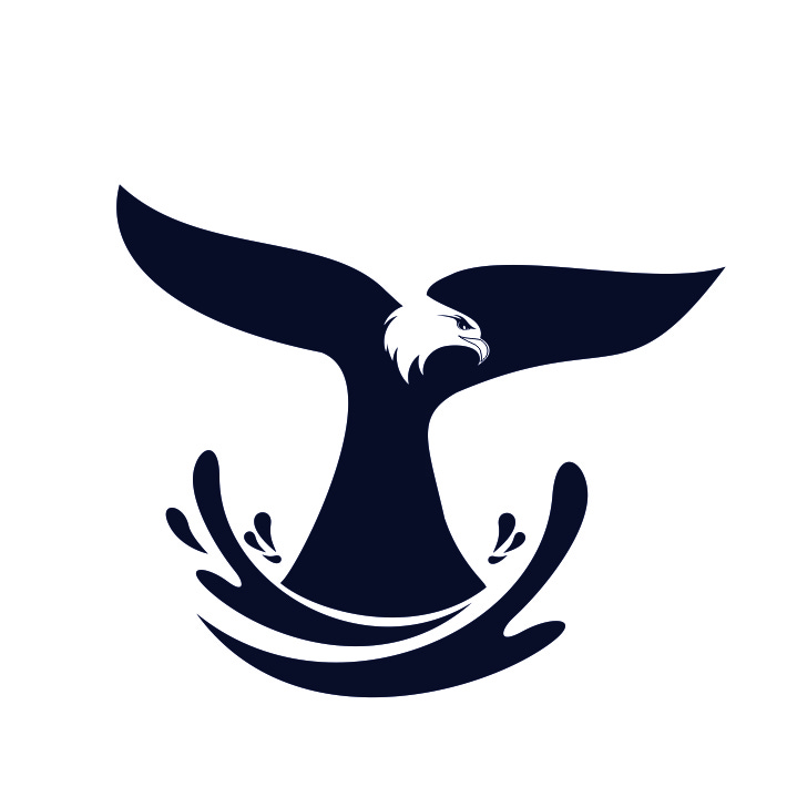 Whale Capital Investments logo