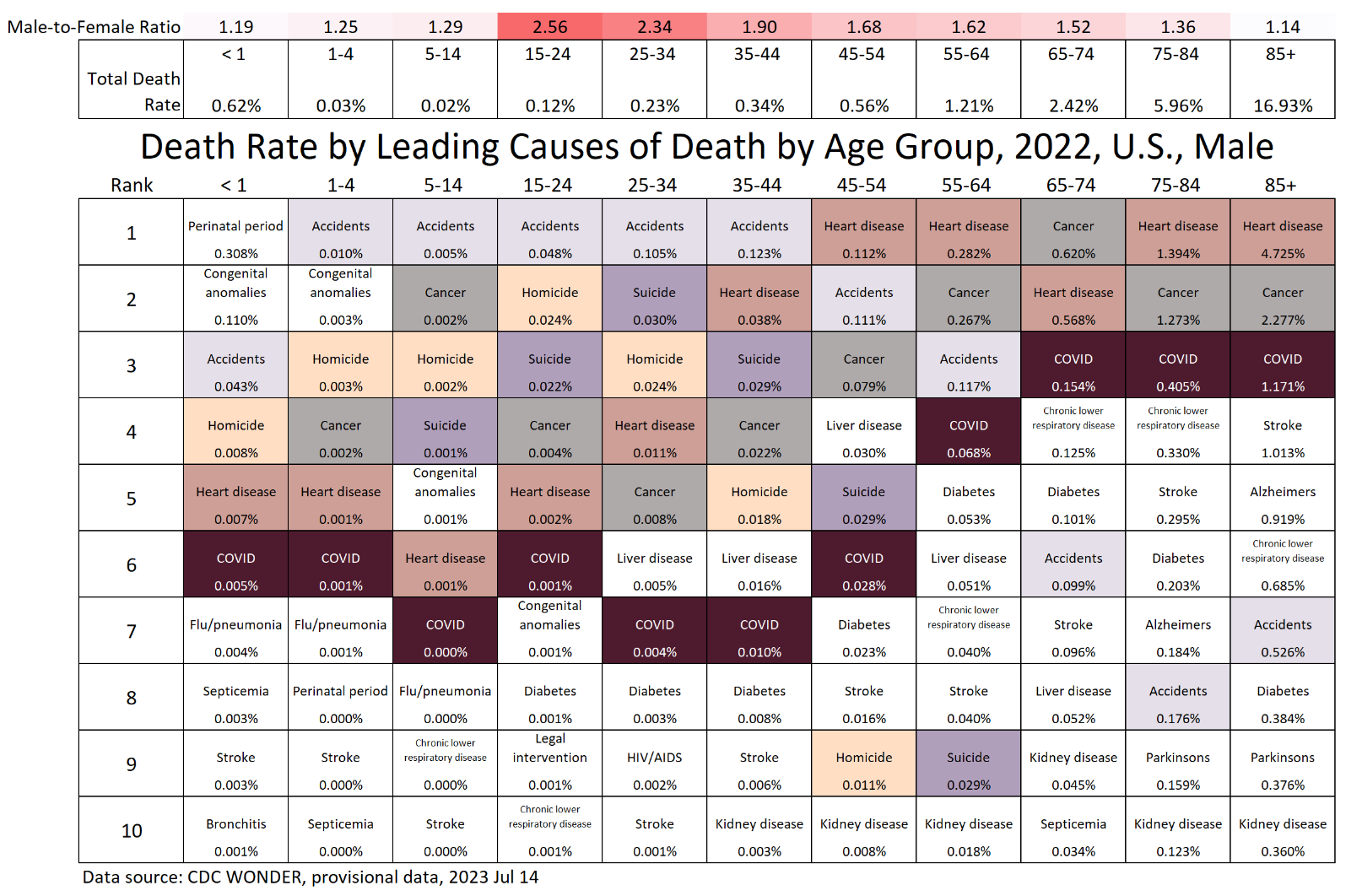 UPDATED: 2022 Top Causes of Death in the U.S. by Sex and Age Group