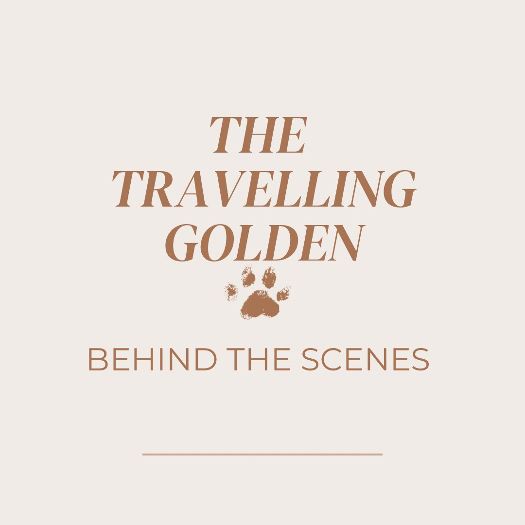 The Travelling Golden: BTS logo