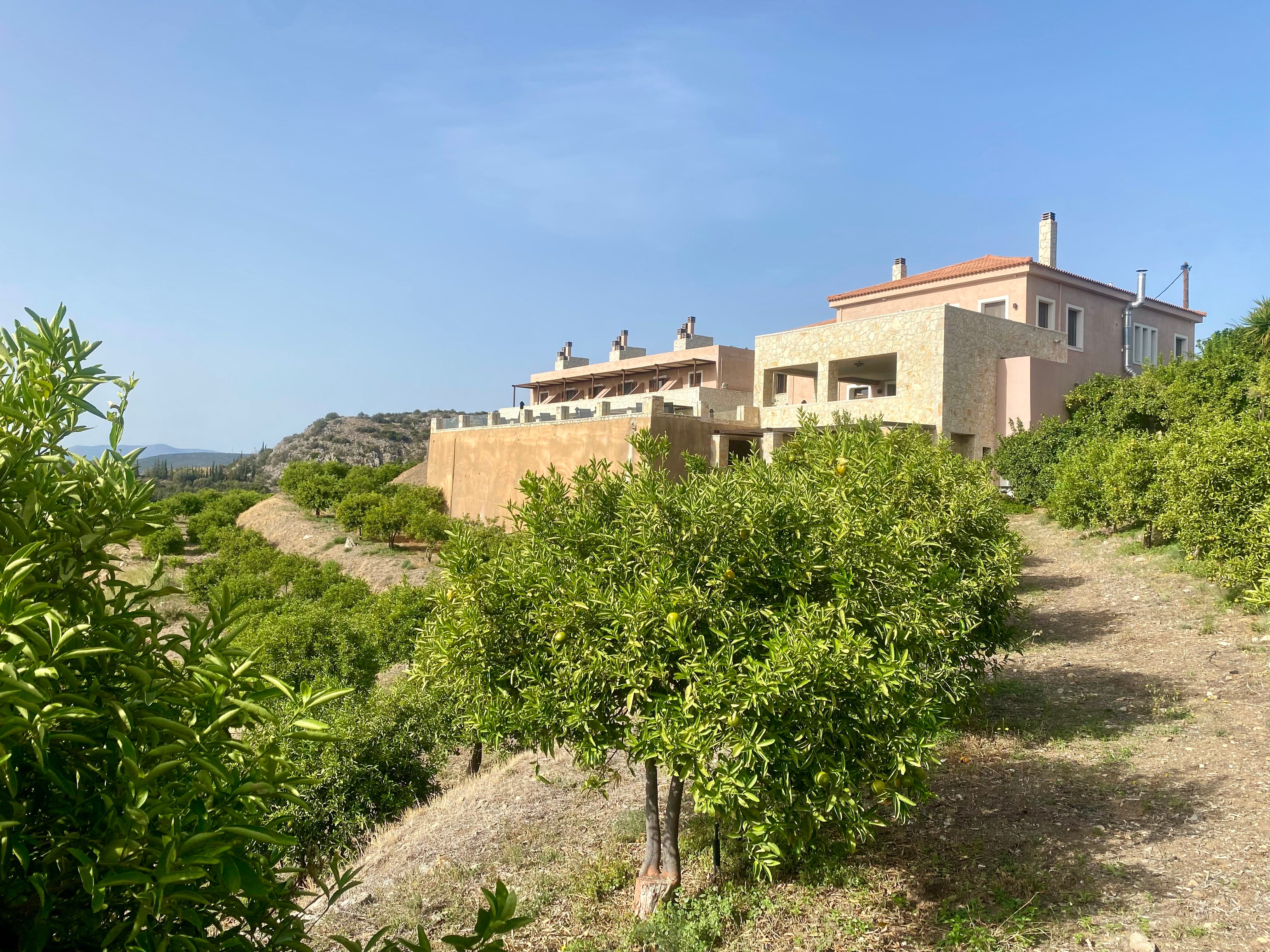 Friday Pyrgiotika by Silva & Black Silva’s Substack