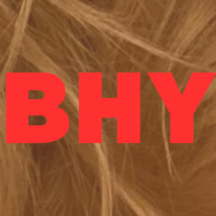 Bad Hair Year logo