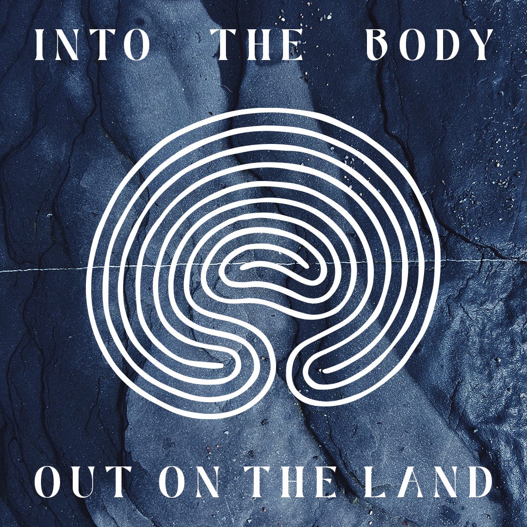 Artwork for Into the body ∙ Out on the land