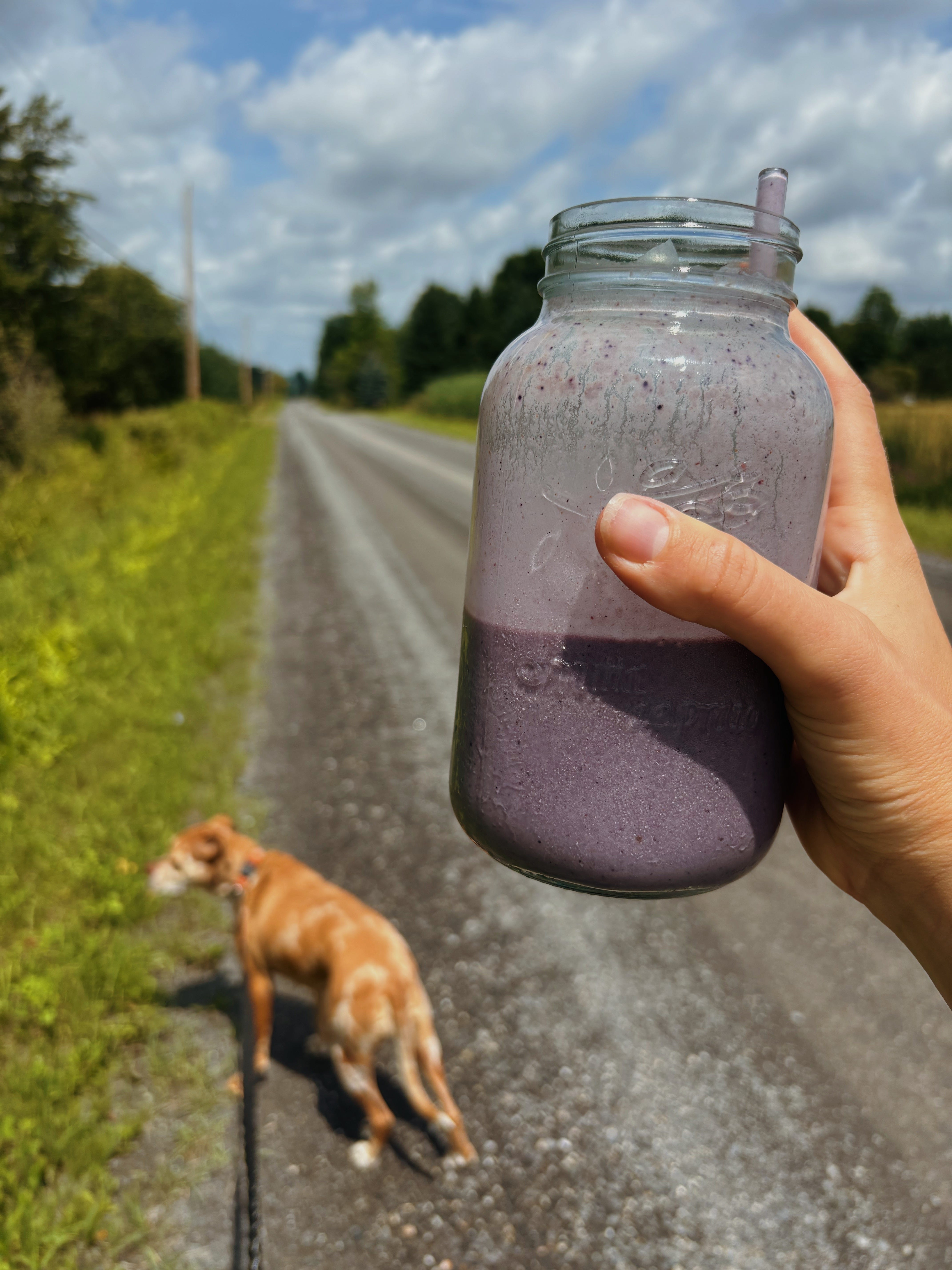 🍴This week's recipe 65g of protein power smoothie