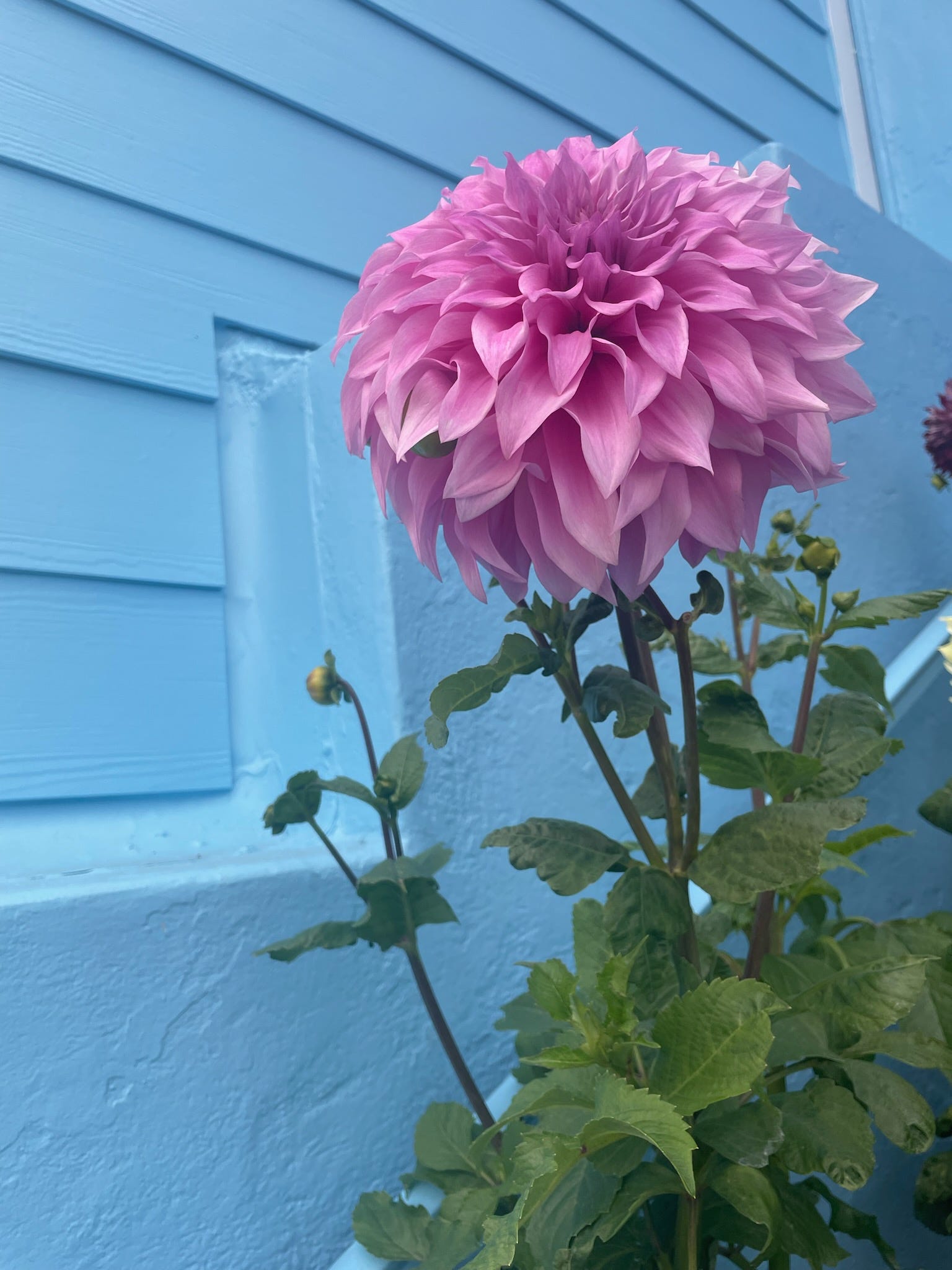 they say death comes in threes by Kate Bueler