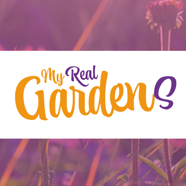 My Real Gardens by Ann-Marie Powell
