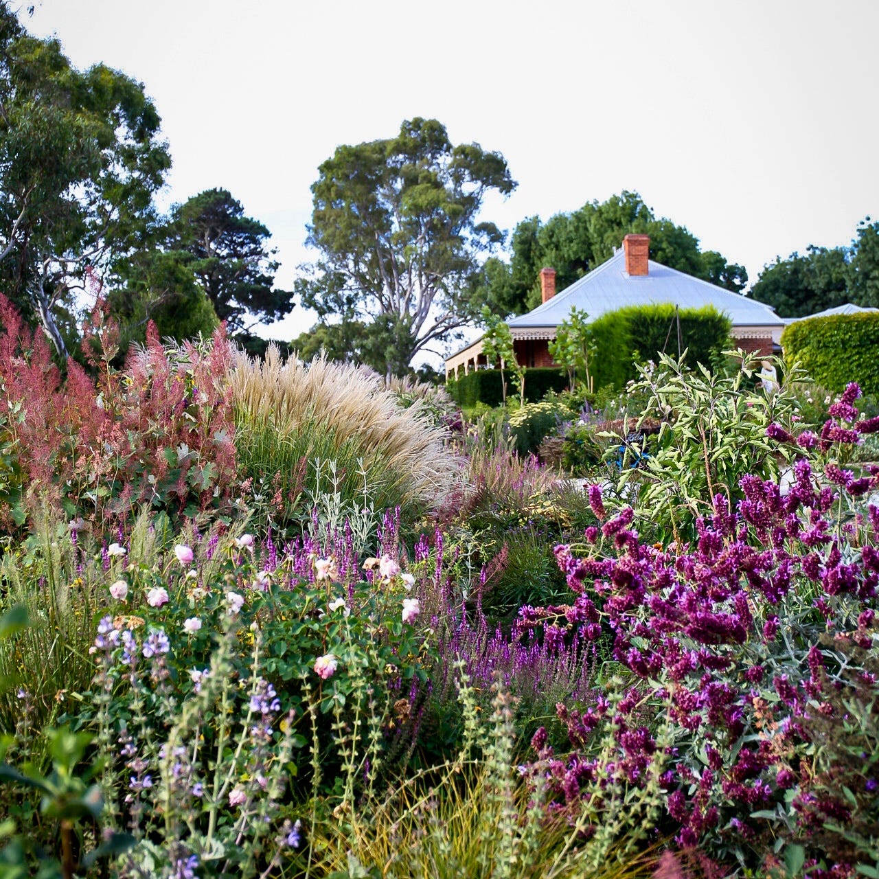 The Garden at Moorfield