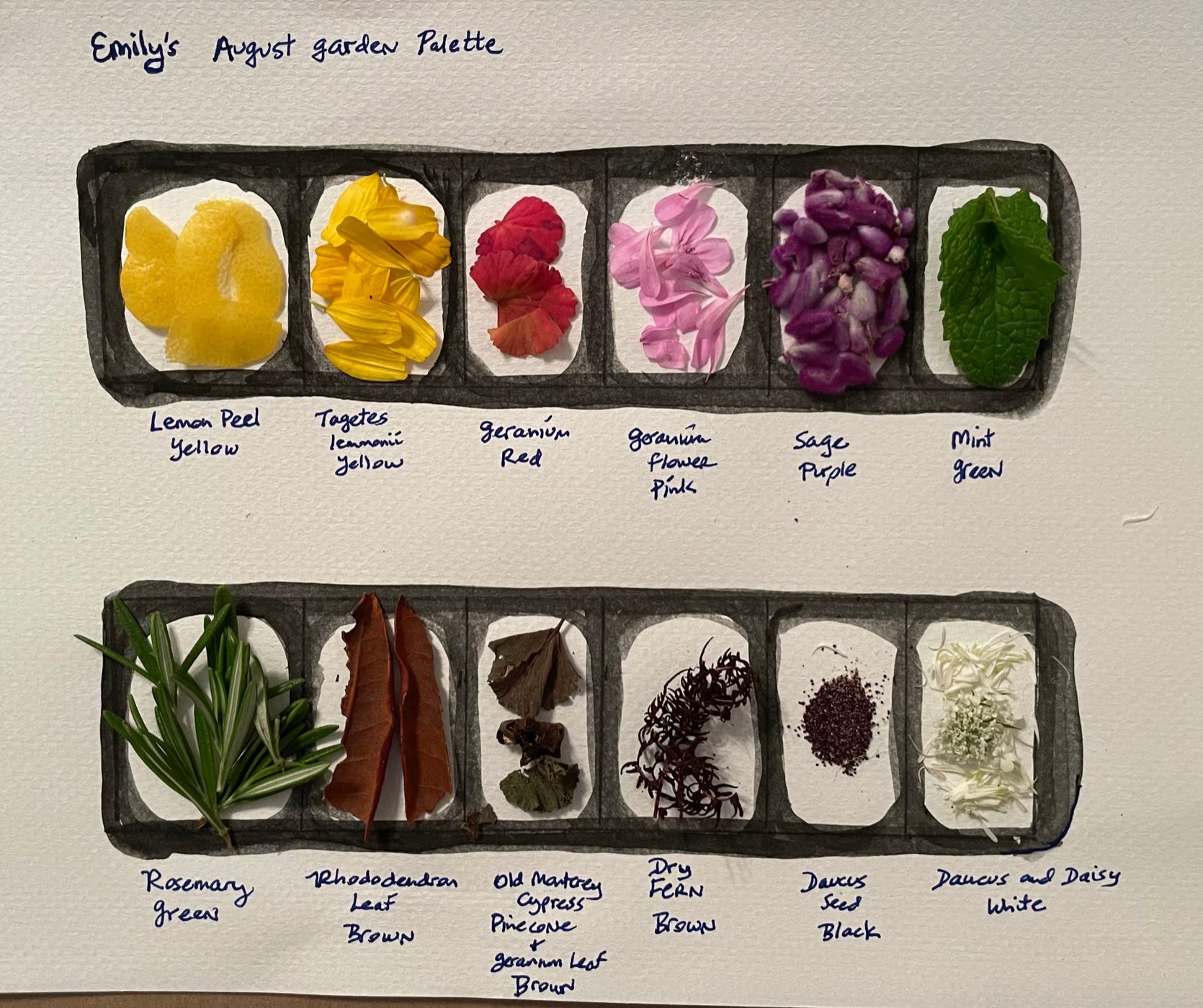 Daily Journal Entry 4/7/20 – Nature Stuff. And a mini paint palette. Of  course. – ThreeSixFiveArt