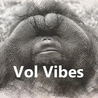 Vol Vibes logo