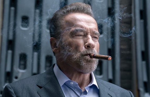 See Arnold Schwarzenegger In His Huge Netflix Action Comedy