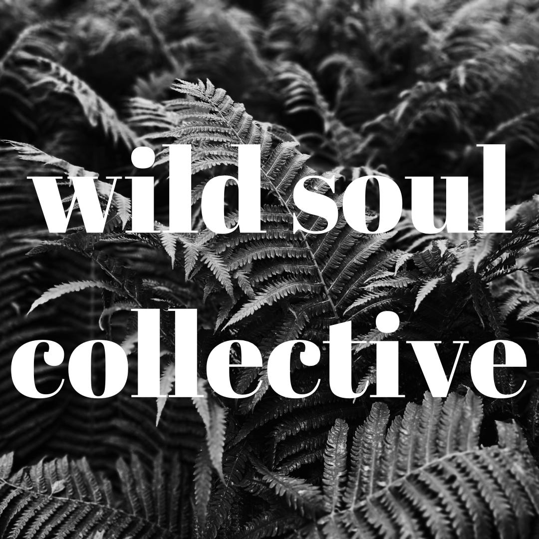 wild soul collective logo