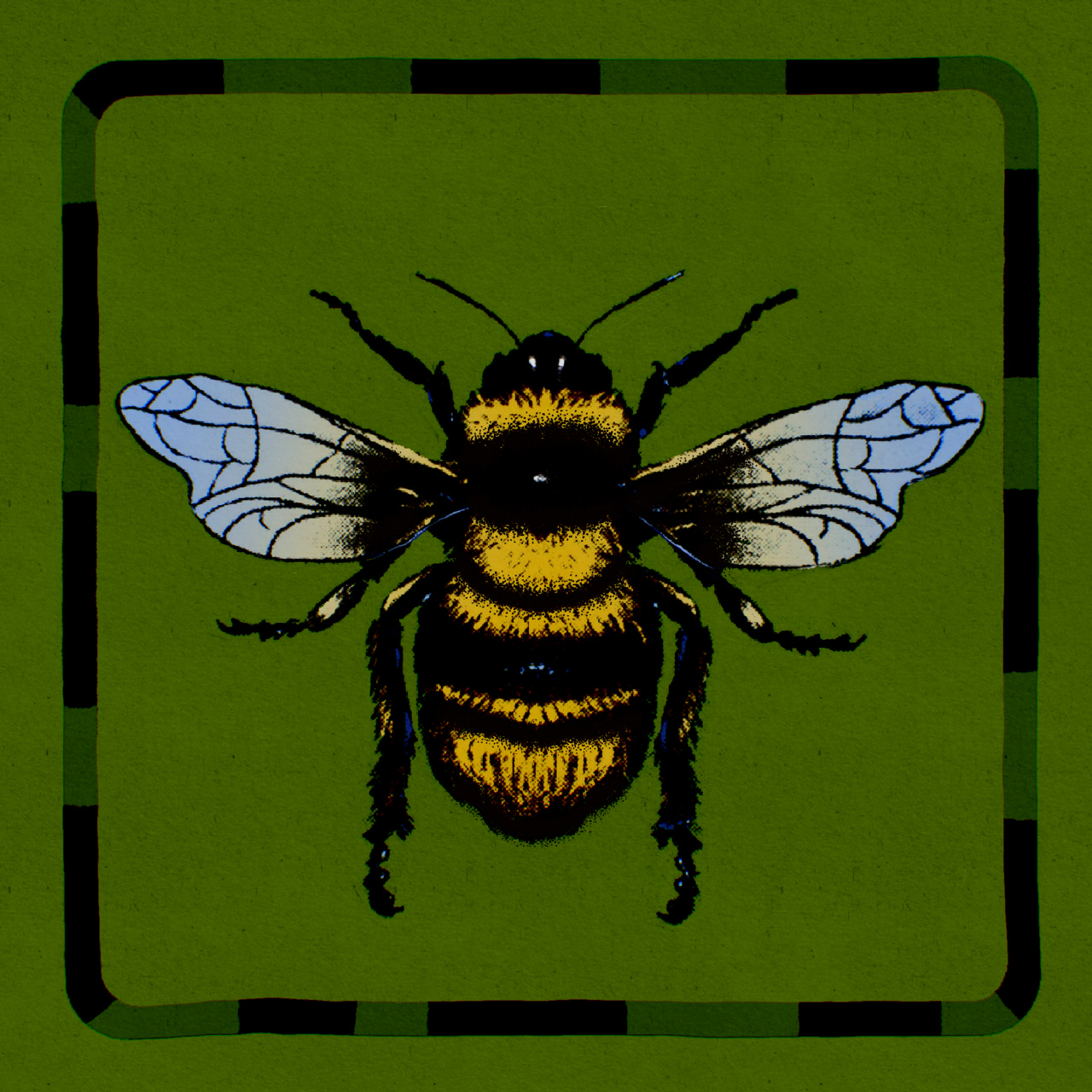 Artwork for Muzzle of Bees 