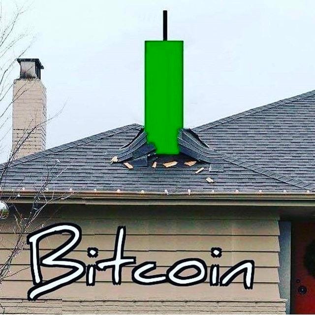 Artwork for The Bitcoin Cycle