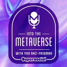 Artwork for Into The Metaverse