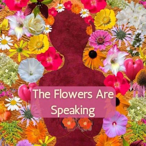 Artwork for The Flowers Are Speaking