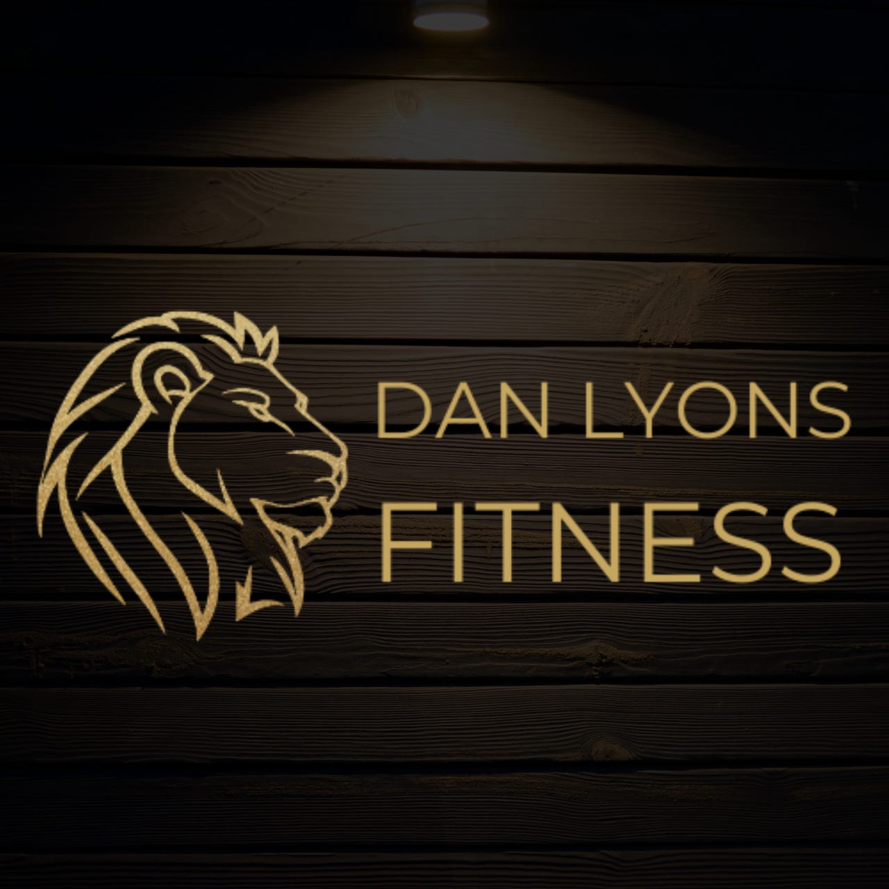 Dan Lyons Fitness Newsletter logo