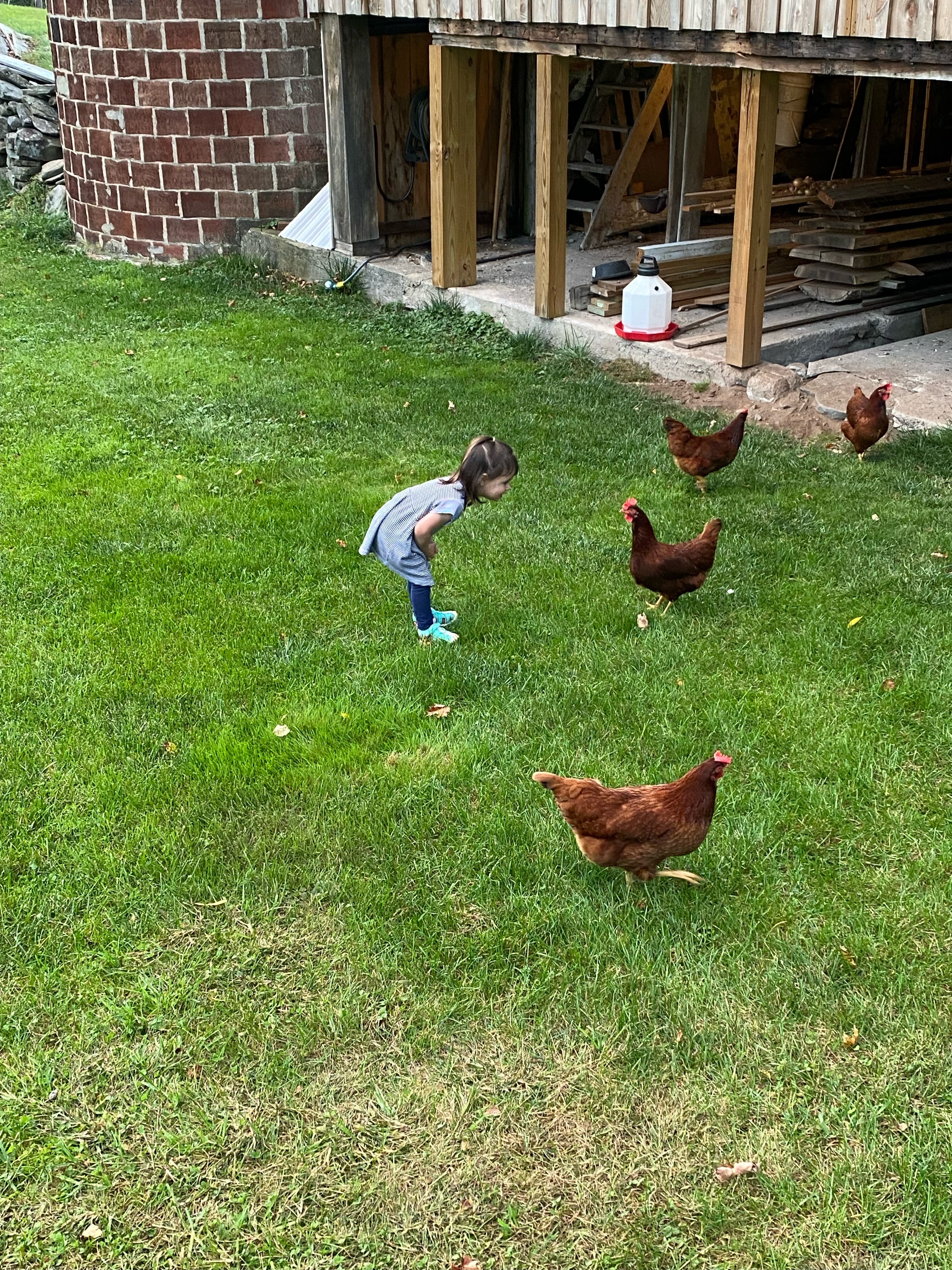 Everyday Beauty PA Visit Edition by Elizabeth Torsell