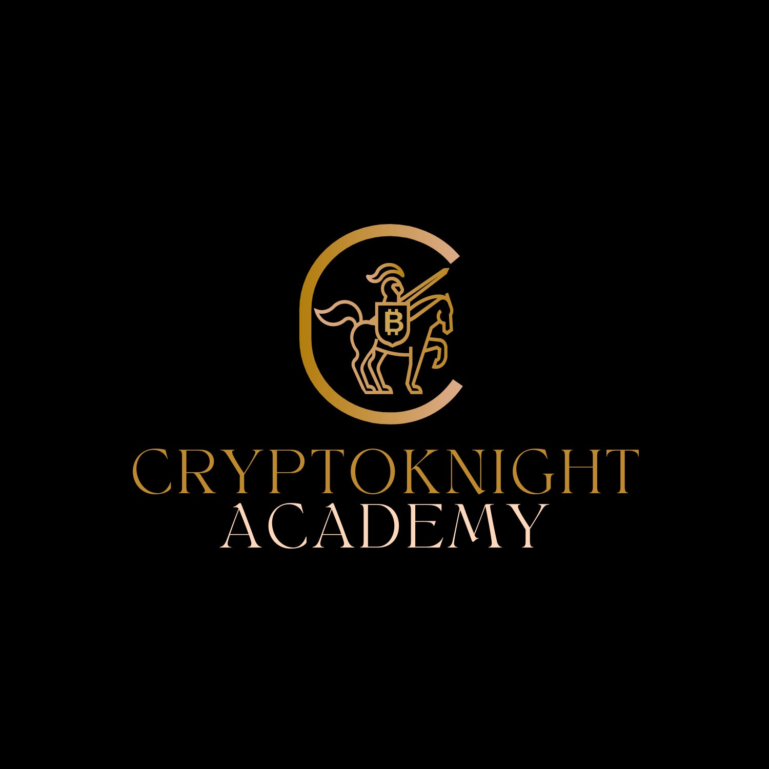 Cryptoknight Academy’s Substack