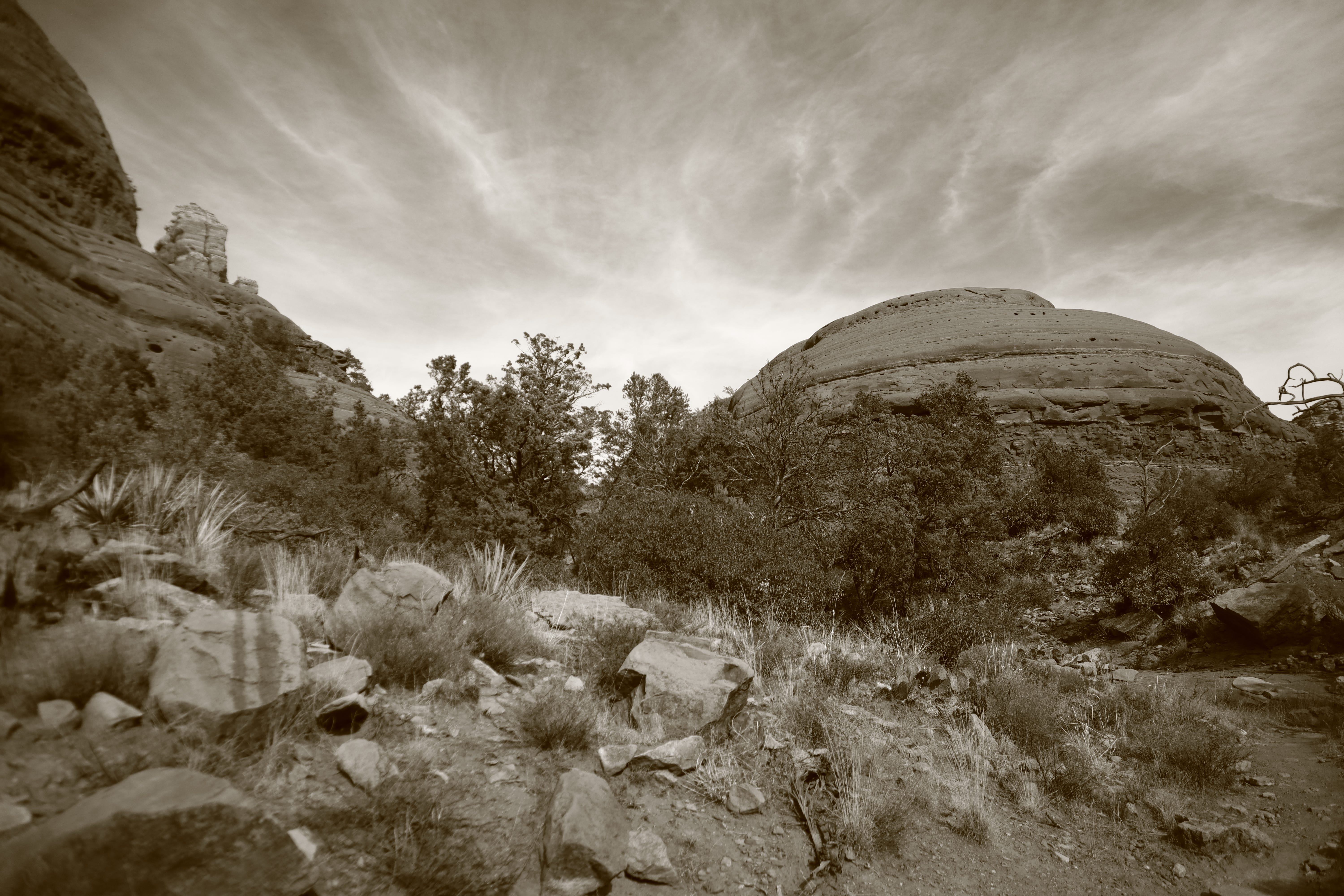 Don’t Let Your Ailments Stop You by Ashley Lynn