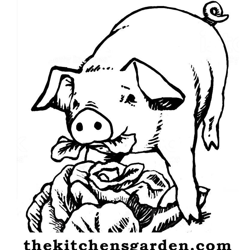 Cecilia at the Kitchen’s Garden Farm logo