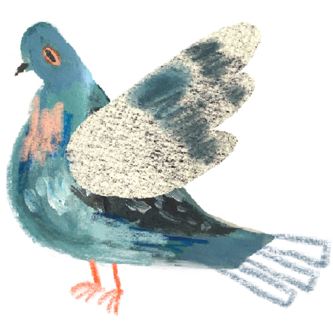 Pigeon Post