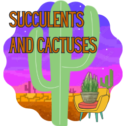 Succulents and Cactuses 
