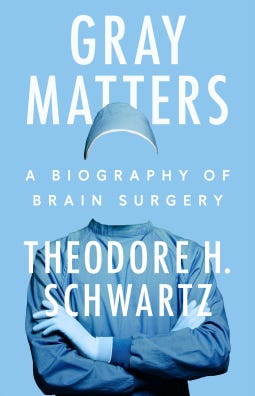 GRAY MATTERS by Theodore H. Schwartz