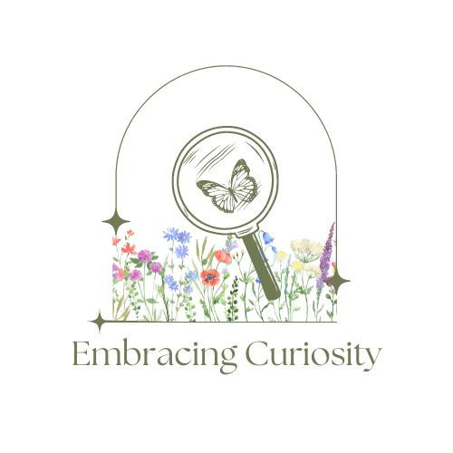 Artwork for Embracing Curiosity