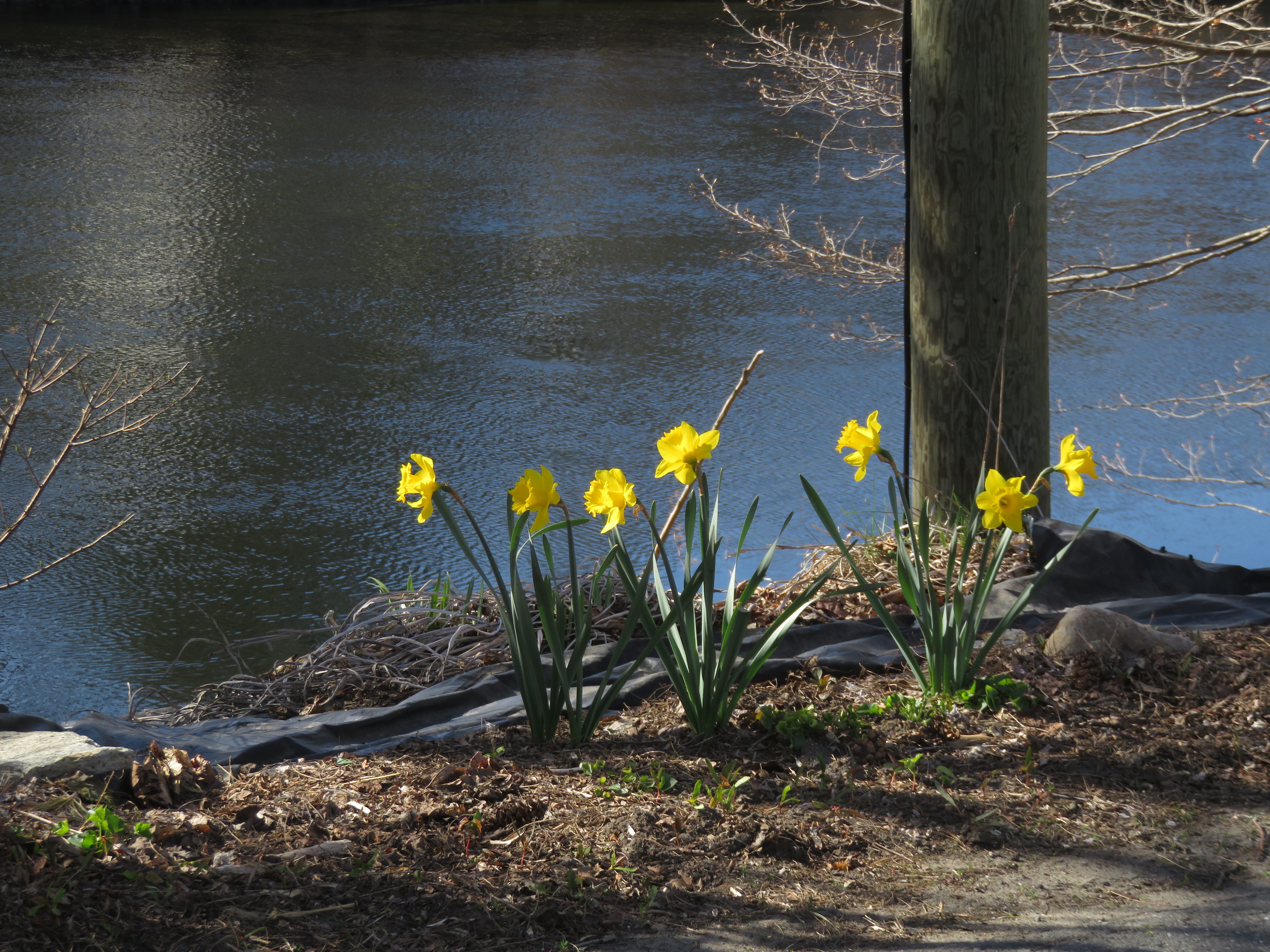 2025 Calendar by Dennis Merritt