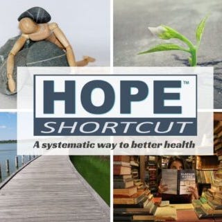 Artwork for The HOPE shortcut