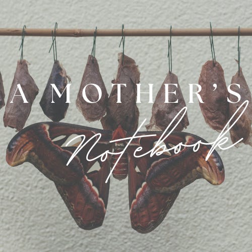 A Mother's Notebook