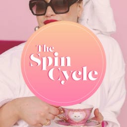 Artwork for The Spin Cycle