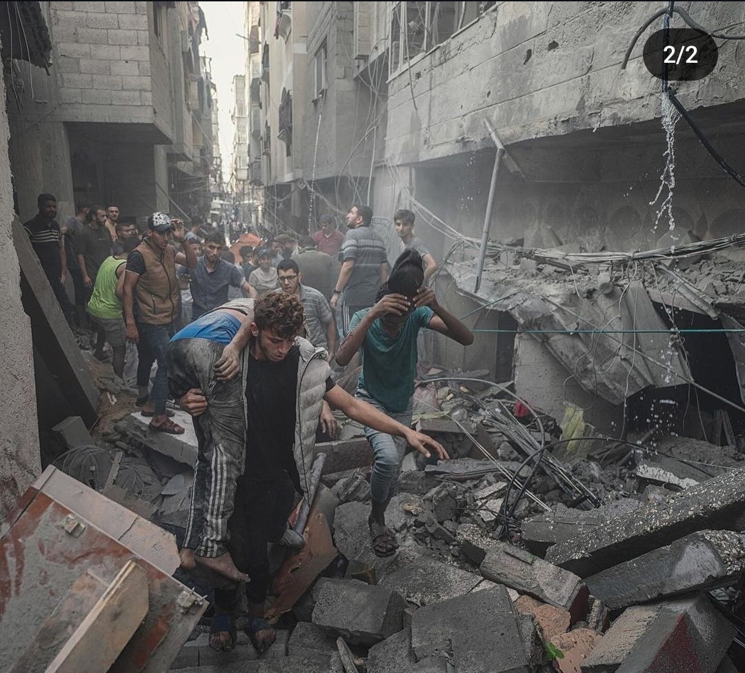 Birds of Palestine by Mahi Mahnoor