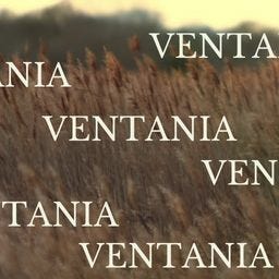 Ventania