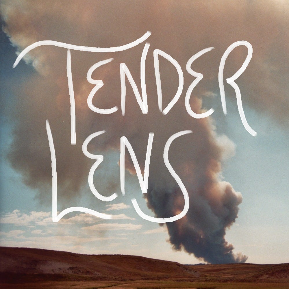 Artwork for Tender Lens 