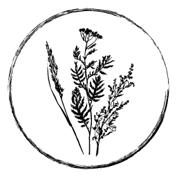 Artemisia Farm & Vineyard Newsletter