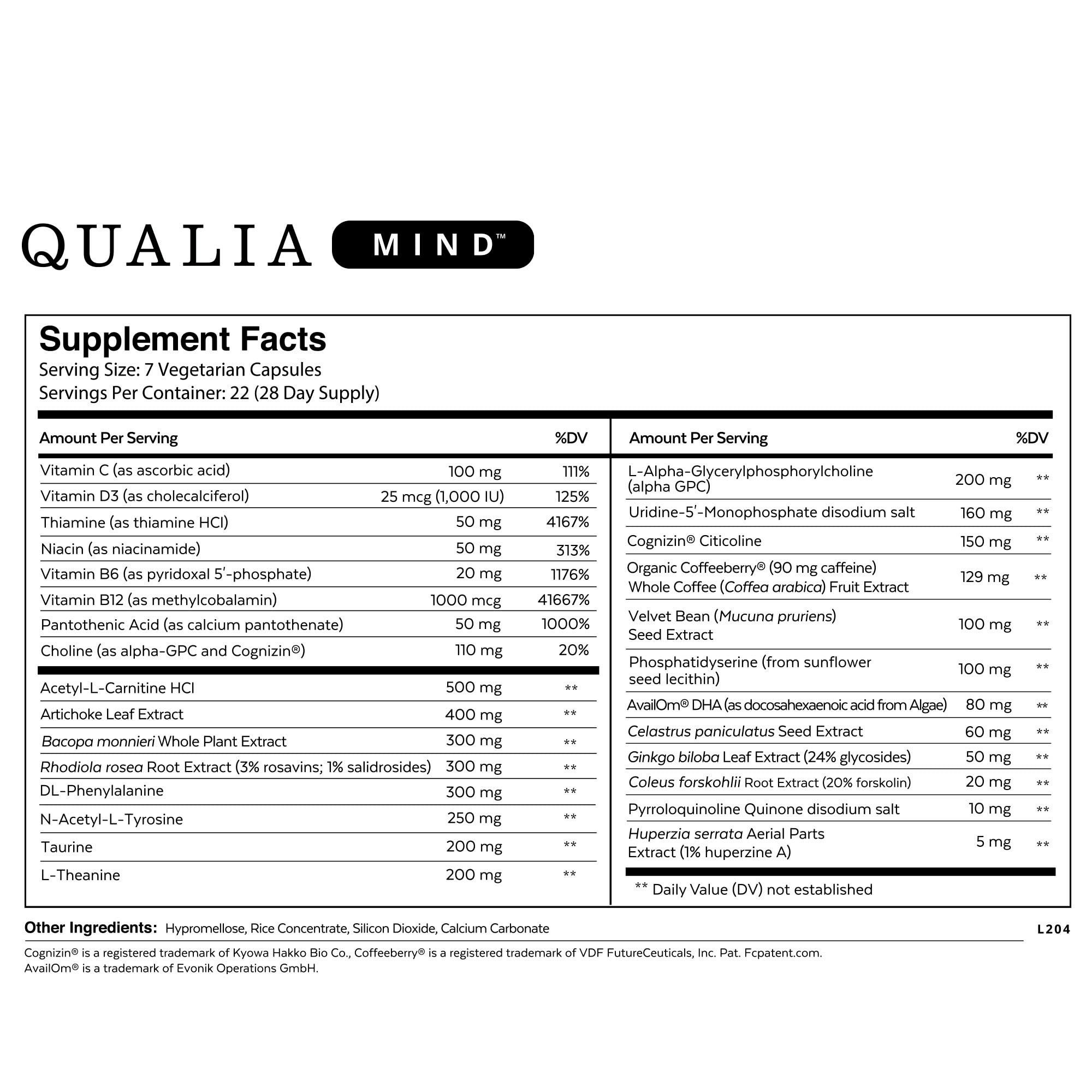 5 Nootropics That Helped Build My Substack And Dream Life