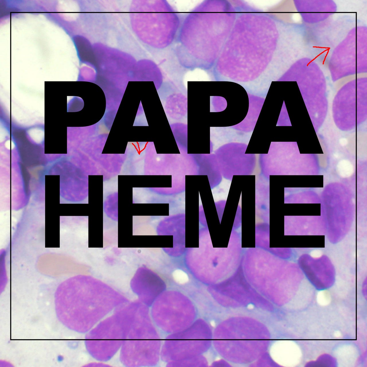 Artwork for Papa Heme's Educational Portal