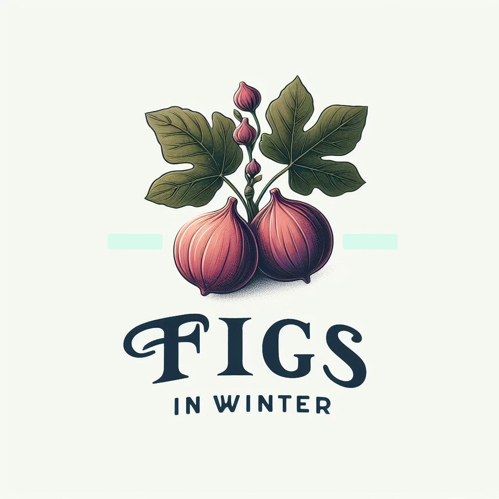 Artwork for Figs in Winter: New Stoicism and Beyond