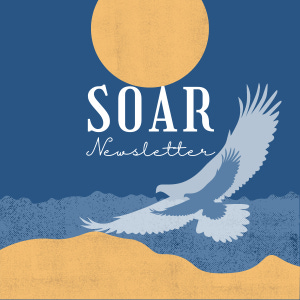 Artwork for SOAR Your Sales