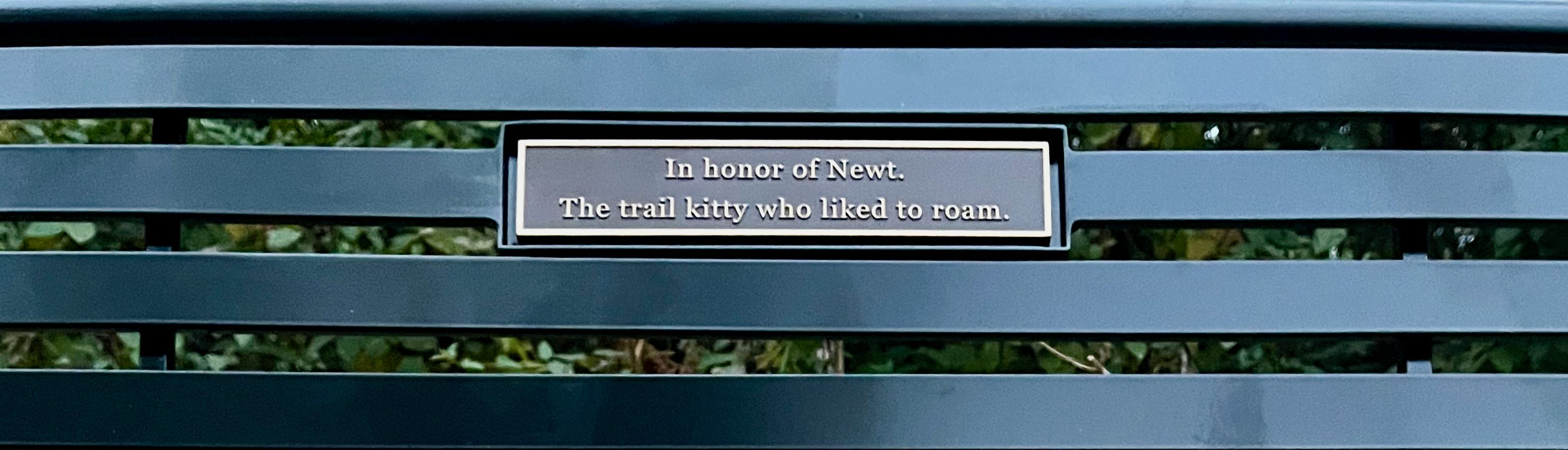 Does someone have to die for us to get a bench around here?