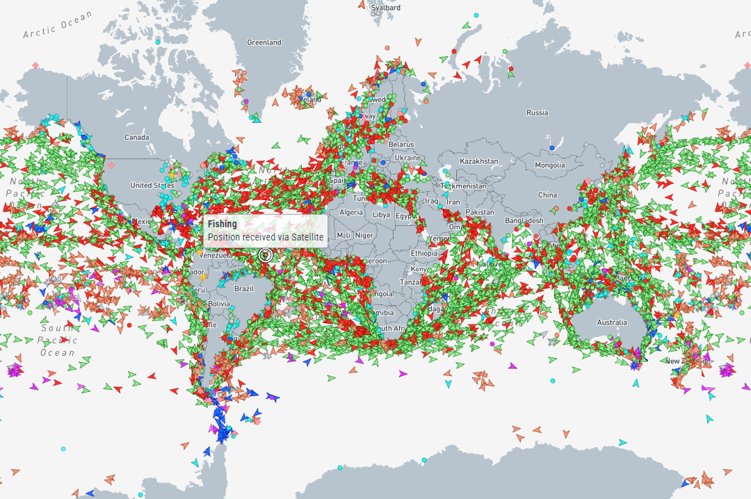 In 2020, 24 people officially died of "covid" in New Zealand. Denis