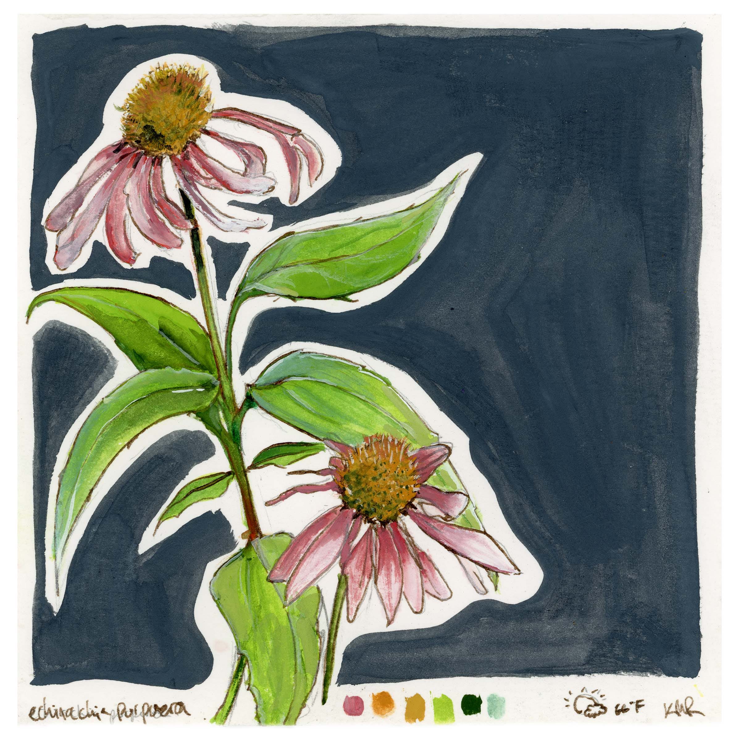 Why is Vinyl so Appealing to Me, a Millennial?