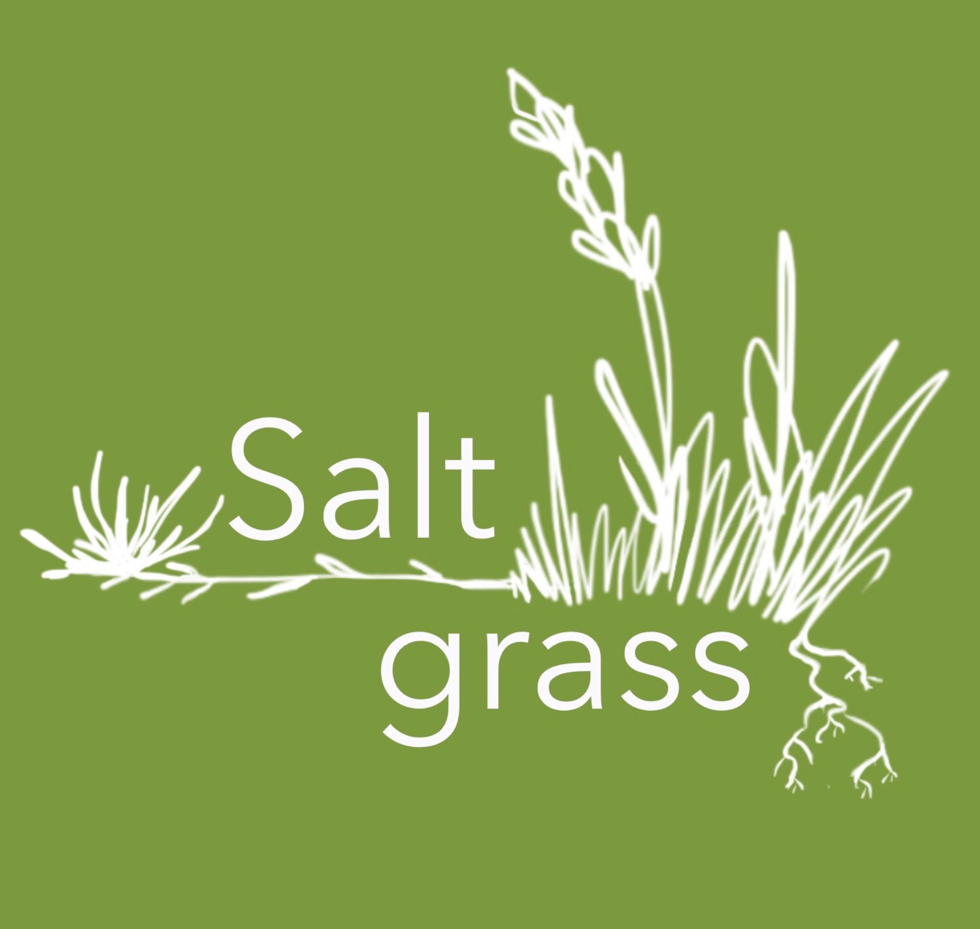 Saltgrass Podcast on Substack logo