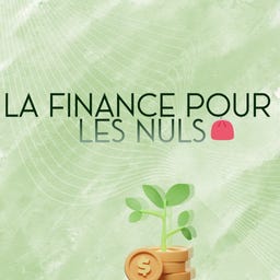 Artwork for La Finance pour les Nuls \ud83d\udc5b