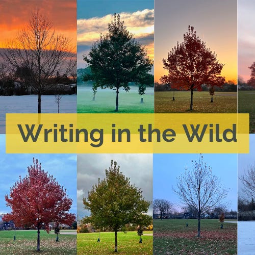 Artwork for Writing in the Wild