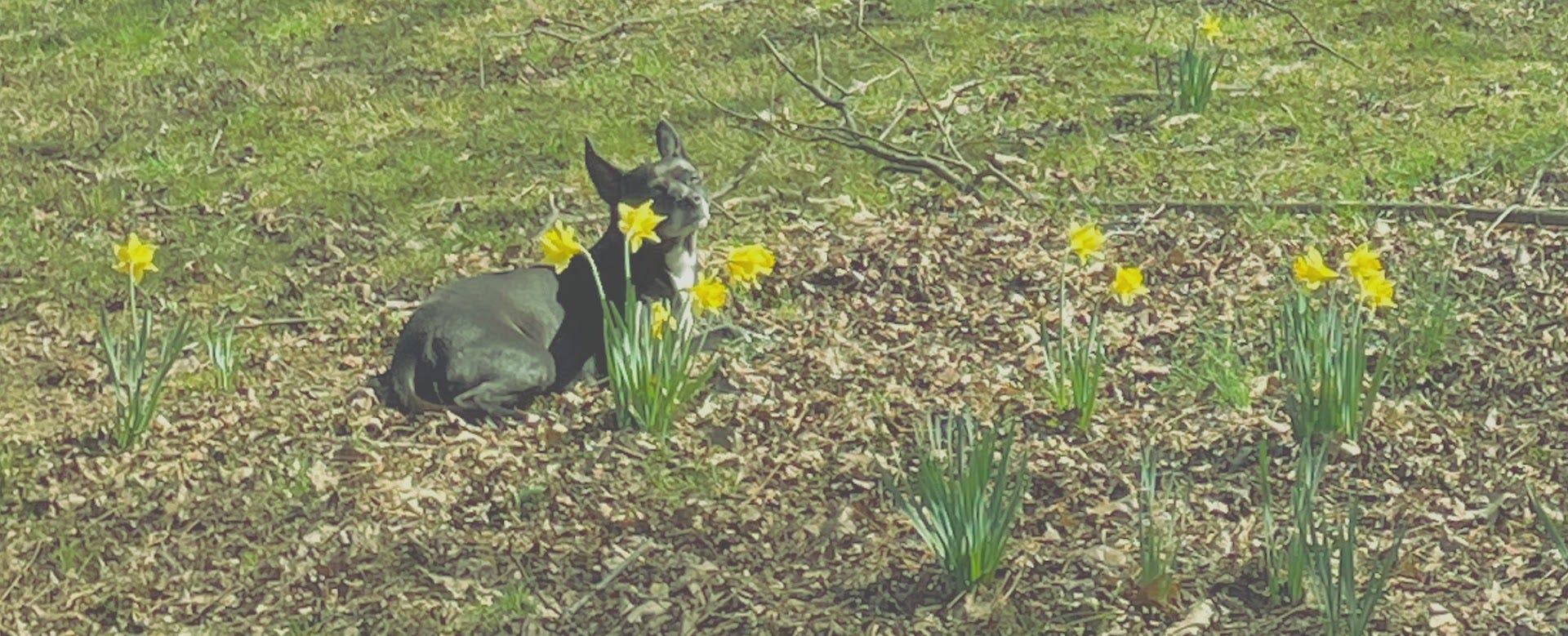 3.25.24 little things are my well by Emma Ross Sermons