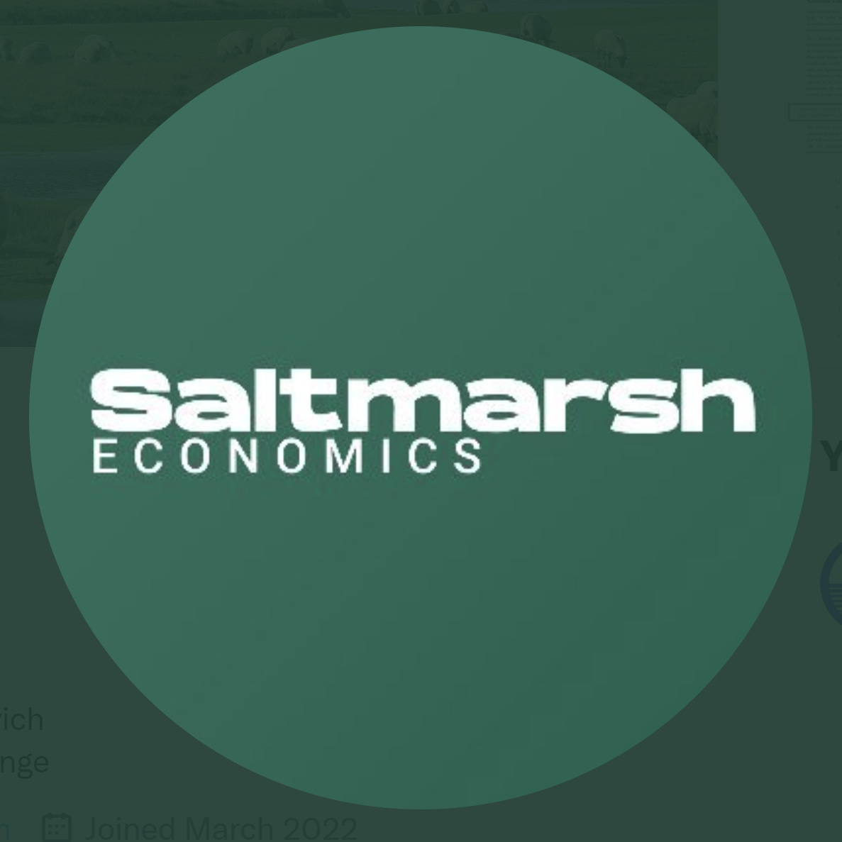 Saltmarsh Economics